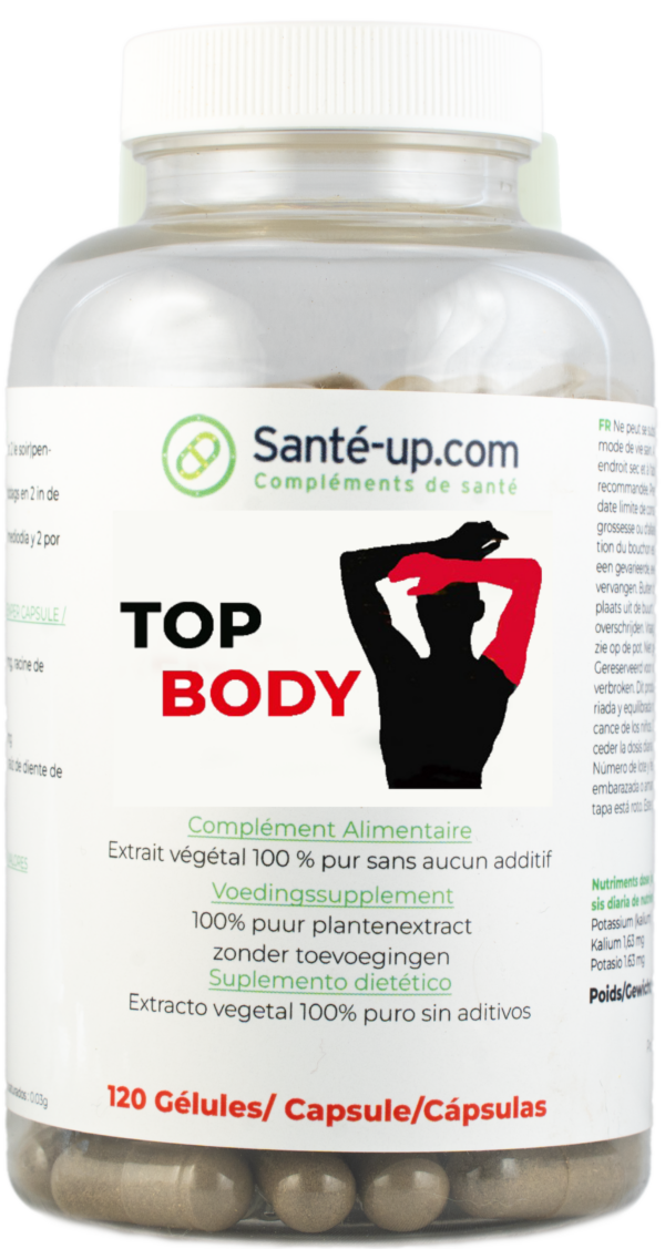 Top Body / Muscle+
