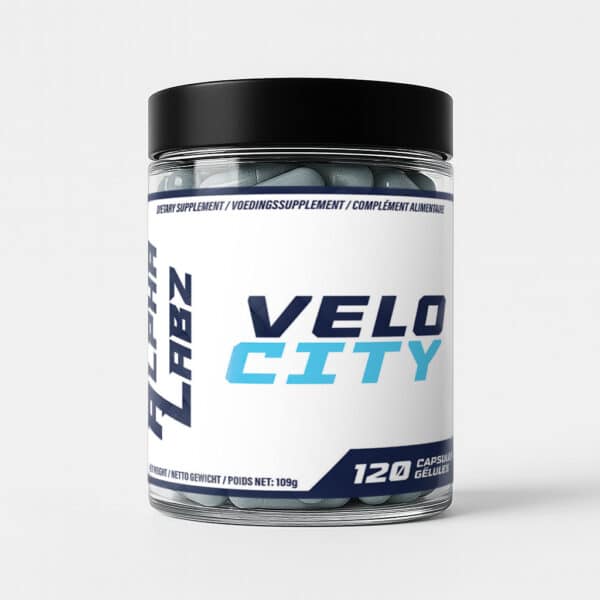 VELOCITY