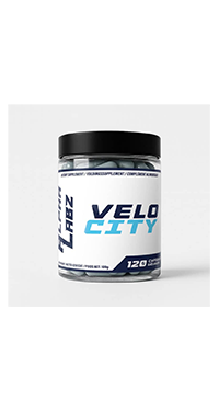 VELOCITY