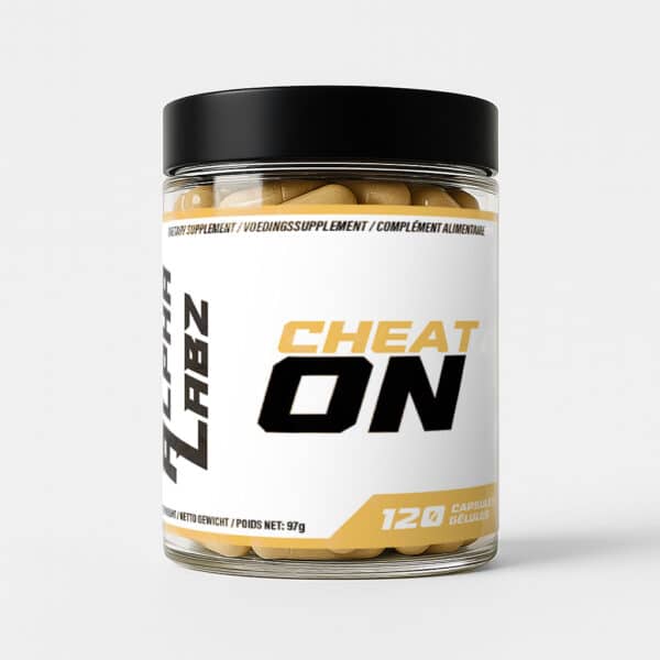 Cheat On