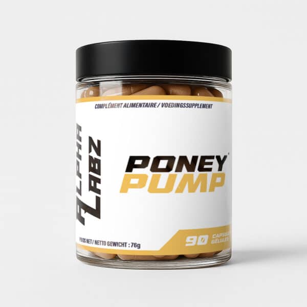 Poney Pump