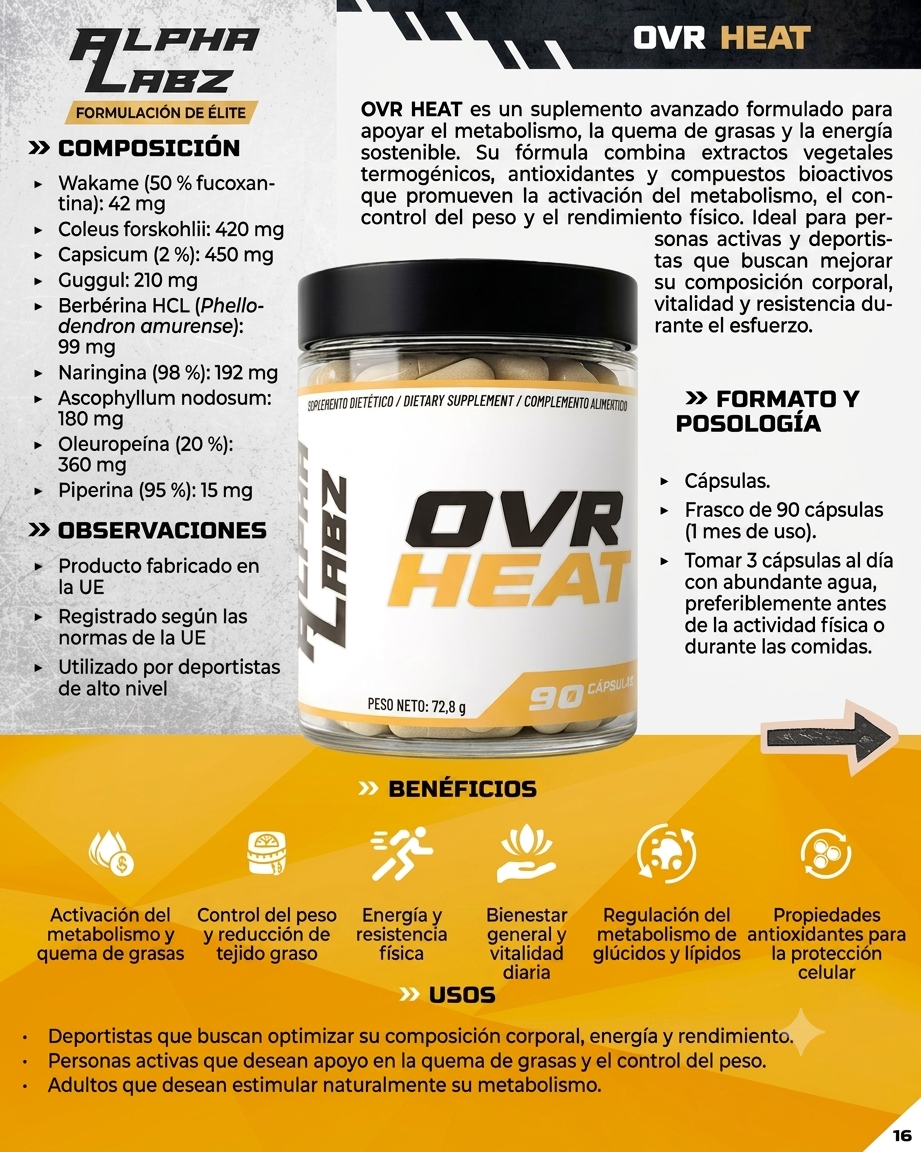 over heat es 03